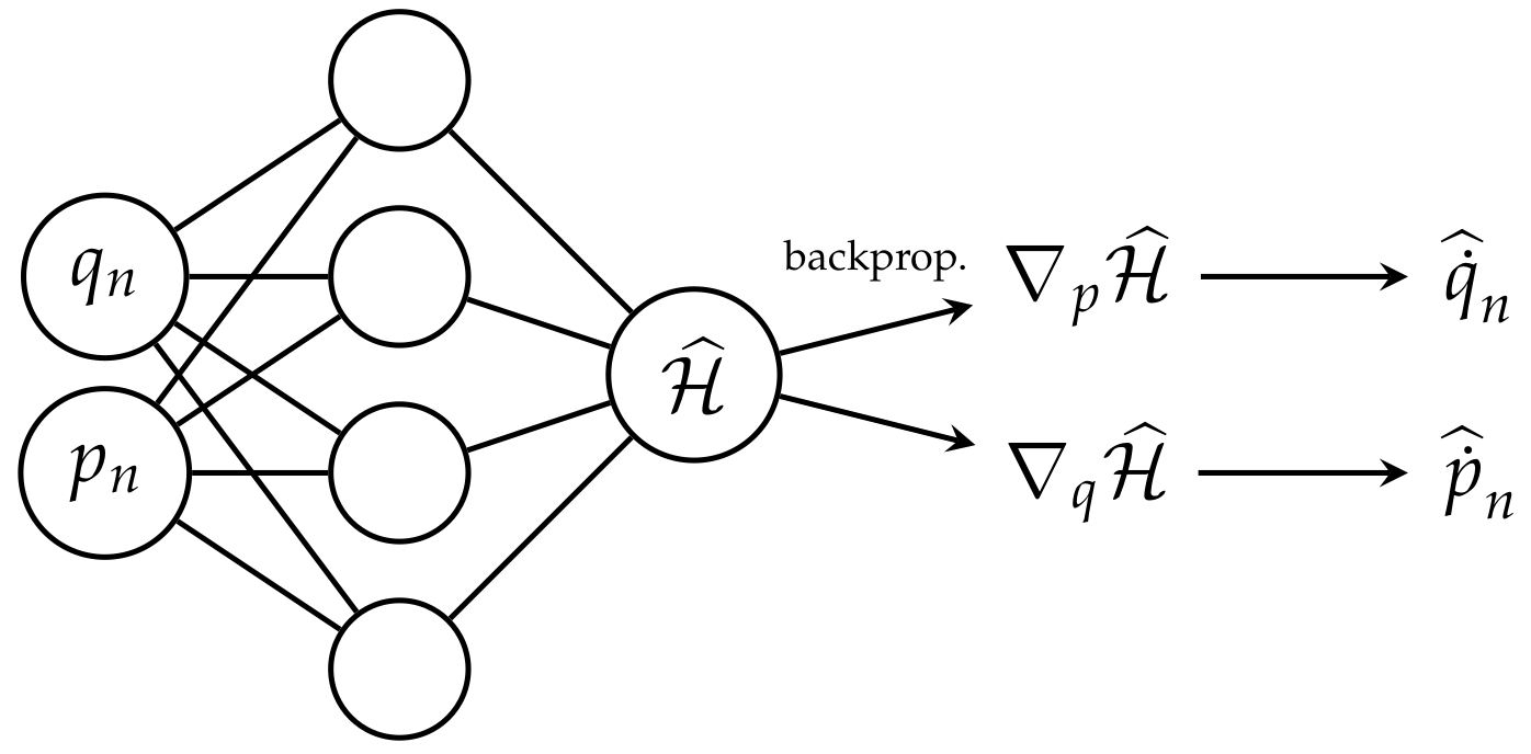 Hamiltonian architecture is visualized, input is position and momentum and model outputs Hamiltonian value. Using auto-differentiation and Hamilton's equations we recover the time derivatives of the position and momentum.